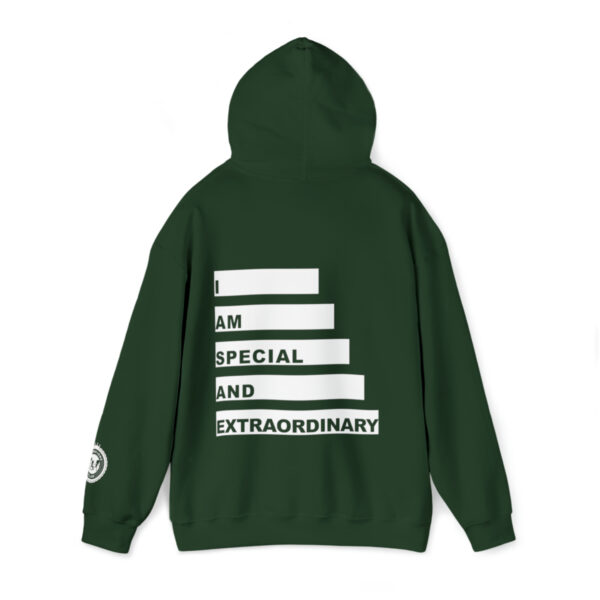 Seventeen hoodie sale green